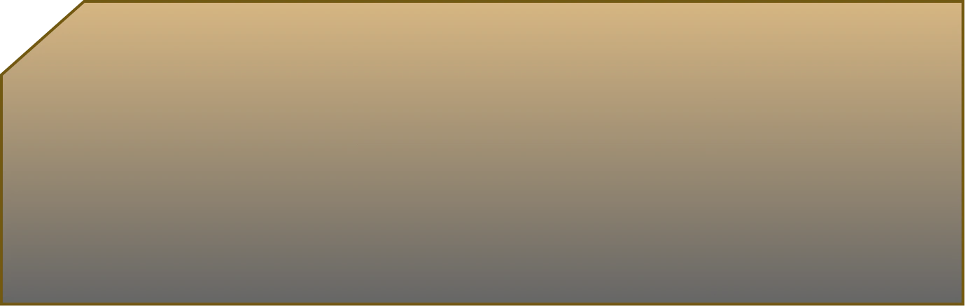 Vector 4