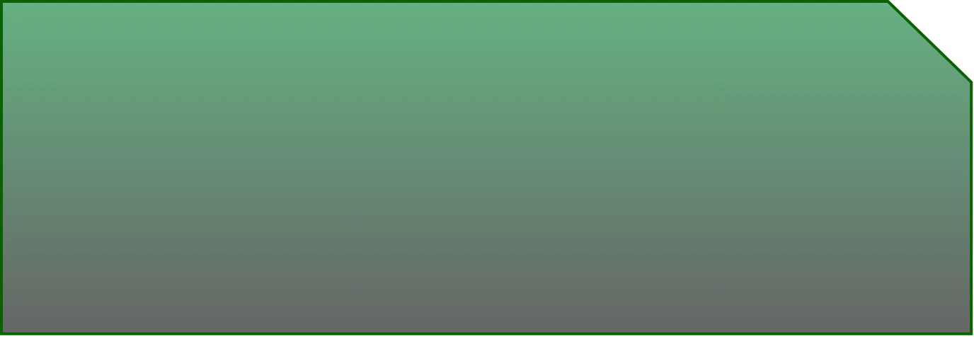 Vector 4